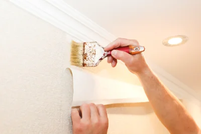 Pose de papier peint à Ventalon en Cévennes — revêtements muraux et toiles de verre